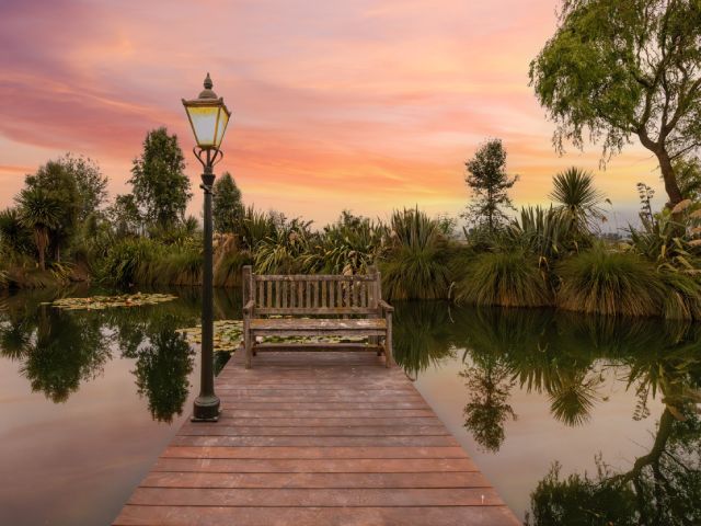 Pond