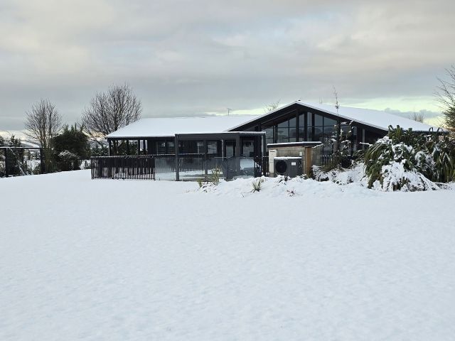 Snowy garden